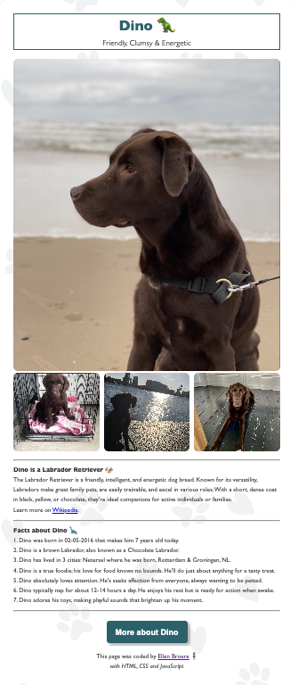 Labrador Dog Project